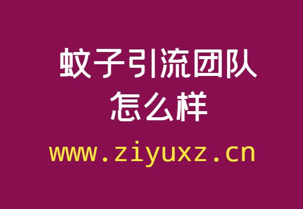 蚊子引流团队怎么样？可靠吗？-千羽学社