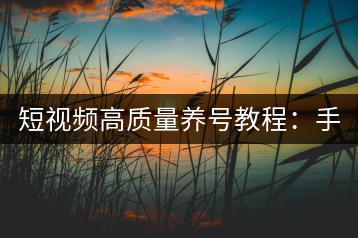 短视频高质量养号教程：手把手教你养号-快速提升播放量-千羽学社