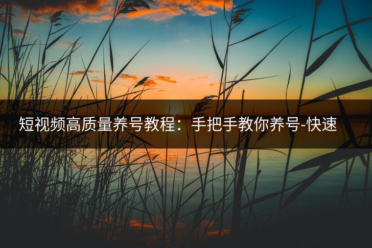 短视频高质量养号教程：手把手教你养号-快速提升播放量