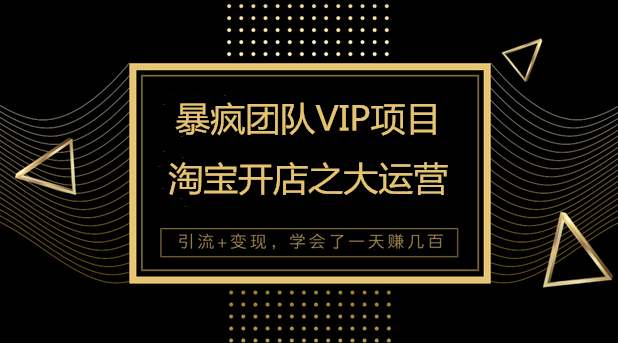 暴疯团队VIP全套赚钱项目课程：淘宝开店之大运营玩法-千羽学社