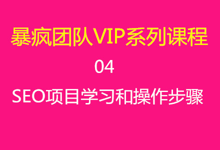 暴疯团队VIP系列课程04：SEO项目学习和操作步骤-千羽学社