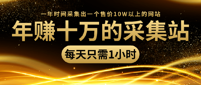 年赚十万的采集站项目：每天1小时，一年搞定一个售价10W的网站-千羽学社