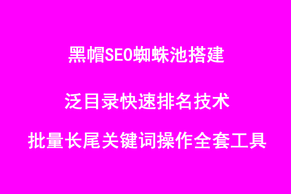 黑帽SEO蜘蛛池搭建泛目录：快速排名技术-批量长尾关键词操作全套工具+教程-千羽学社