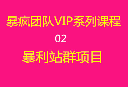 暴疯团队VIP系列课程02：暴利站群项目课程-千羽学社