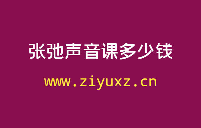 张弛声音课多少钱-张弛声音变现课百度云-千羽学社