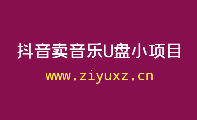 抖音卖音乐U盘小项目：无脑式搬砖，半年赚了5万多的-千羽学社