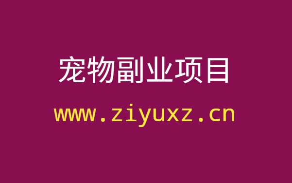 宠物副业项目：业余养猫怎么赚了10倍的钱-千羽学社