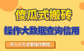 搬砖操作大数据查询信用项目赚钱教程-快速月入6万-千羽学社