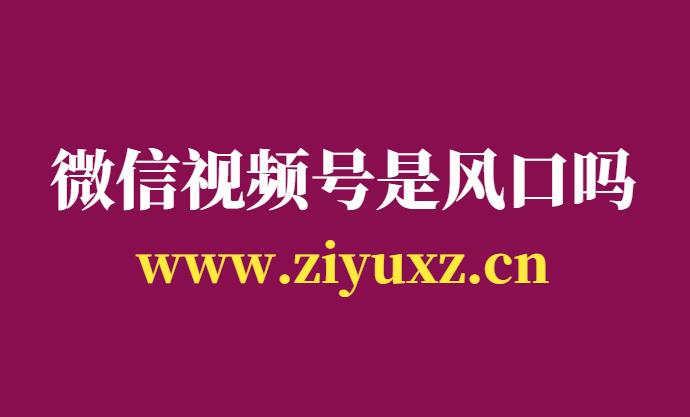 微信视频号是风口吗-短视频创业内容是王道-千羽学社