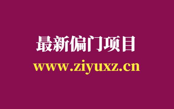 最新偏门项目，一个能日入1000+的玩法-千羽学社