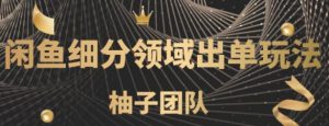 闲鱼细分领域暴力出单玩法,低成本单号月入5000+-视频课程-千羽学社