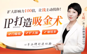 王瑶IP打造吸金术：让钱主动找你-课程-千羽学社