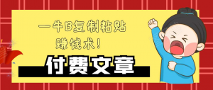 毛小白：—牛B复制粘贴赚钱术！【公众号付费文章】-千羽学社