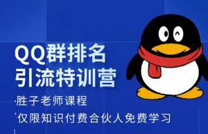 胜子QQ群排名引流课程-无水印-千羽学社