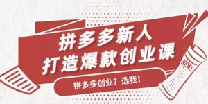 拼多多新人打造爆款创业课:快速引流持续出单,适用于所有新人-千羽学社