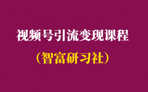 微信视频号如何引流盈利-附视频号引流变现课程-千羽学社
