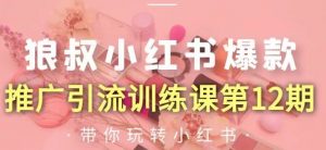 狼叔小红书爆款推广引流训练课第12期-千羽学社