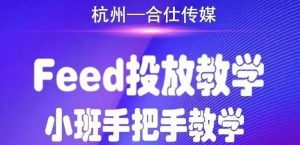合仕传媒FEED投放教学,小班手把手教学-千羽学社