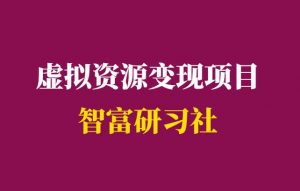 项目心得:实操虚拟资源变现项目,打造被动收入-千羽学社