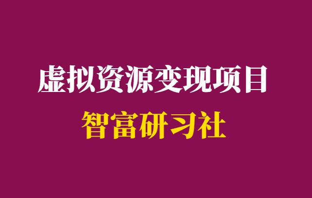 项目心得：实操虚拟资源变现项目，打造被动收入-千羽学社