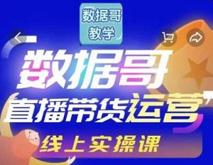 数据哥直播带货运营线上进阶课视频-千羽学社