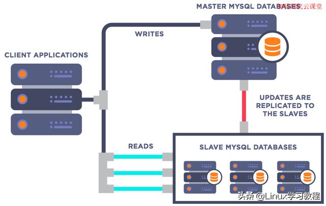 图片[4]-如何在Linux系统上查看MySQL所有数据库列表-一招快速搞定-千羽学社