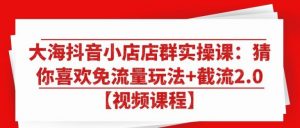 大海抖音小店店群实操课:猜你喜欢免流量玩法+截流2.0-千羽学社