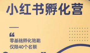 勇哥小红书撸金快速起量项目-千羽学社