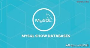 如何在Linux系统上查看MySQL所有数据库列表-一招快速搞定-千羽学社