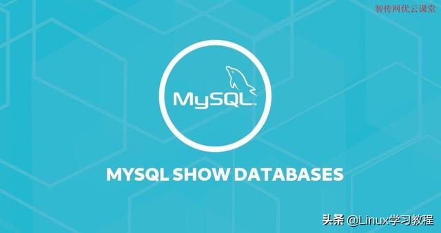 如何在Linux系统上查看MySQL所有数据库列表-一招快速搞定-千羽学社