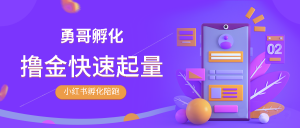 勇哥:小红书撸金快速起量陪跑孵化营-视频课程-千羽学社