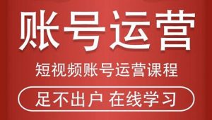 马爸爸:短视频账号运营-视频课程-千羽学社