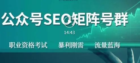 高鹏：公众号SEO矩阵项目-千羽学社