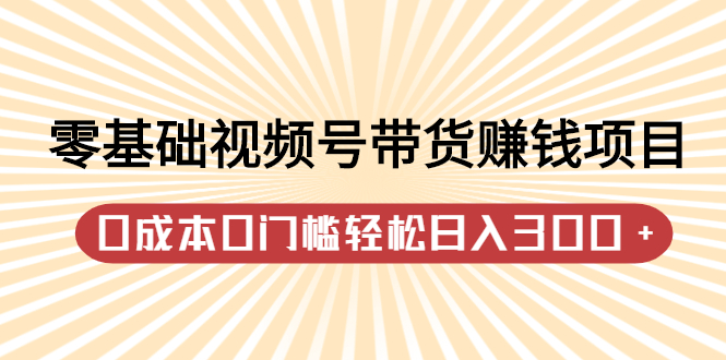 零基础视频号带货赚钱项目，0成本0门槛轻松日入300+【视频教程】-千羽学社