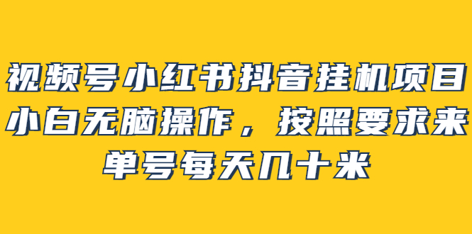 视频号小红书抖音x机项目，小白无脑操作单号每天几十米-视频教程-千羽学社