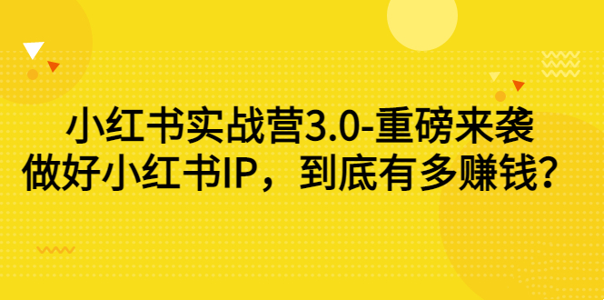 小红书实战营3.0课程：做好小红书IP，到底有多赚钱？-价值7999-千羽学社