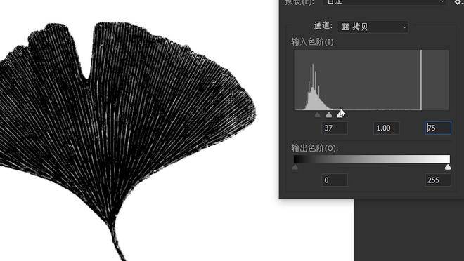 图片[15]-Photoshop软件下载-ps软件安装包+安装教程-千羽学社