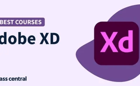 AdobeXD下载：Adobe XD 2023 矢量化图形规划软件-Adobe系列全版本-千羽学社