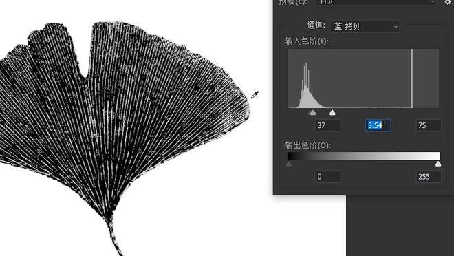 图片[16]-Photoshop软件下载-ps软件安装包+安装教程-千羽学社