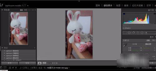 图片[8]-LR2022软件下载-lr2022永久安装包+安装教程(含adobe全家桶)-千羽学社