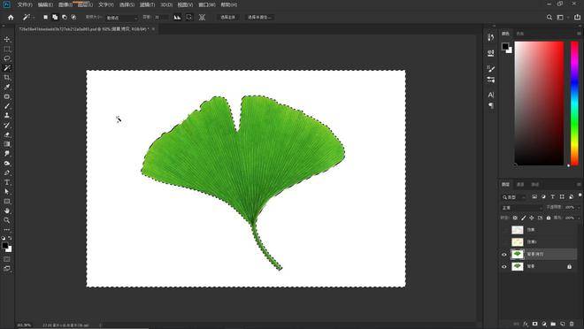 图片[8]-Photoshop软件下载-ps软件安装包+安装教程-千羽学社