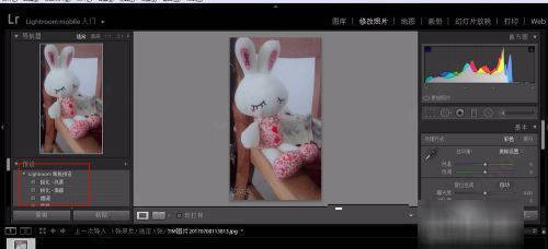 图片[9]-LR2022软件下载-lr2022永久安装包+安装教程(含adobe全家桶)-千羽学社