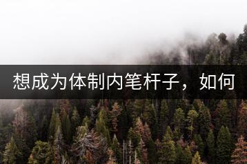 想成为体制内笔杆子，如何进行专业训练？有哪些课程推荐？-千羽学社