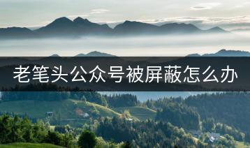 老笔头公众号被屏蔽怎么办？-千羽学社
