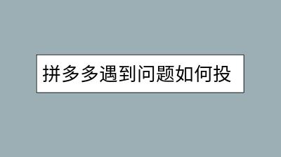 拼多多遇到问题如何投诉商家？有哪些投诉渠道？-千羽学社