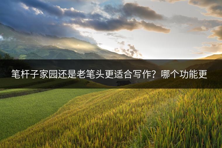 笔杆子家园还是老笔头更适合写作？哪个功能更强大？