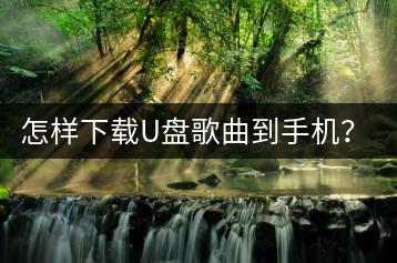 怎样下载U盘歌曲到手机？DJ版流行歌曲车载U盘如何选择？-千羽学社