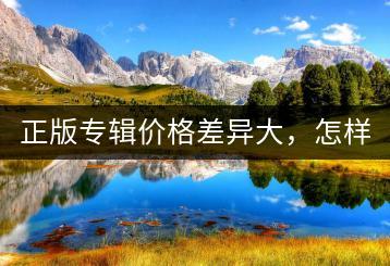 正版专辑价格差异大，怎样选择物有所值的产品？-千羽学社