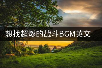 想找超燃的战斗BGM英文歌，有哪些推荐？手机插了U盘该怎么打-千羽学社