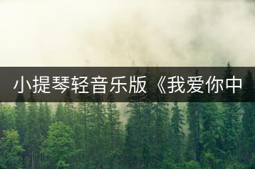 小提琴轻音乐版《我爱你中国》有何特色？-千羽学社